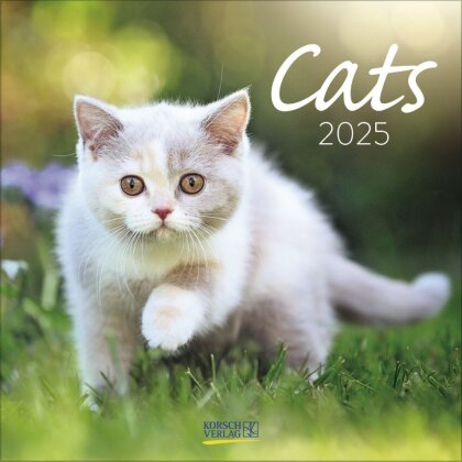 Cats 2025
