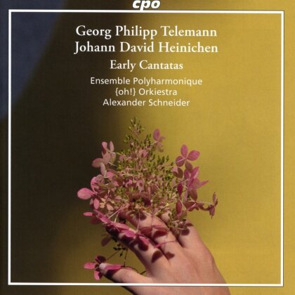 {oh!} Orkiestra, Ensemble Polyharmonique, Georg Philipp Telemann (1681-1767), Johann David Heinichen (1683-1729) & Alexander Schneider - Early Cantatas