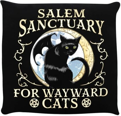Salem Sanctuary For Wayward Cats - Black Cushion