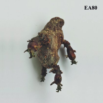 EA 80 - Single (LP)