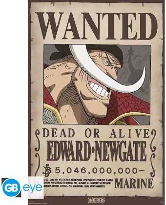 Poster - Wanted Barbe Blanche - One Piece - Roulé & filmé - 91.5 x 61 cm