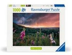 Ravensburger Puzzle 12000793 - Ein Sturm zieht auf - 1000 Teile Puzzle für Erwachsene ab 14 Jahren