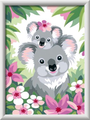 Koala Cuties