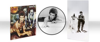 David Bowie - Diamond Dogs (2024 Reissue, 140 Gramm, PLG UK, Édition 50ème Anniversaire, Picture Disc, LP)