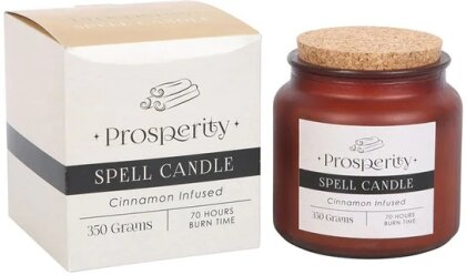 Cinnamon Infused Prosperity Spell Candle