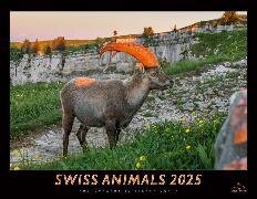 Swiss Animals 2025