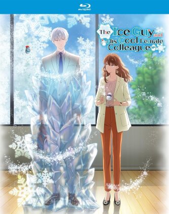 The Ice Guy and His Cool Female Colleague - The Complete Season (2 Blu-rays)