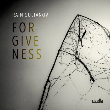 Rain Sultanov - Forgiveness