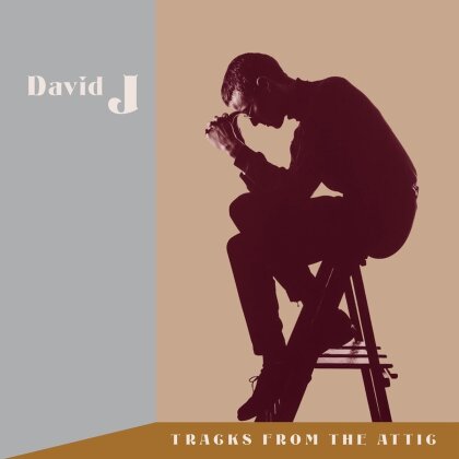 David J - Tracks From The Attic (Brown Opaque Vinyl, 3 LPs + 3 CDs)
