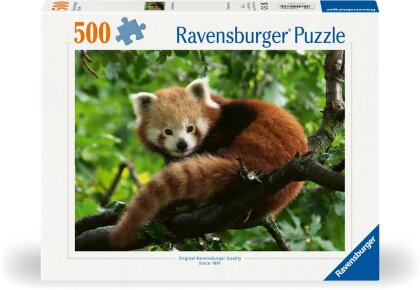 Ravensburger Puzzle 12000369 Süßer roter Panda - 500 Teile Puzzle für Erwachsene und Kinder ab 1´2 Jahren