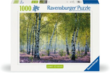 Birkenwald