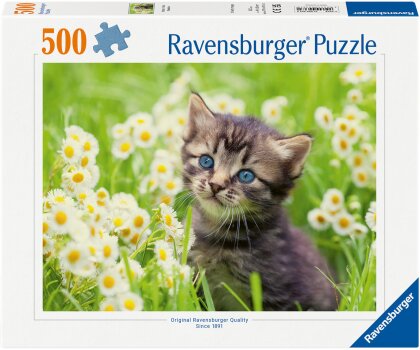 Ravensburger Puzzle 12000367 - Kätzchen in der Wiese - 500 Teile Puzzle für Erwachsene und Kinder ab 12 Jahren