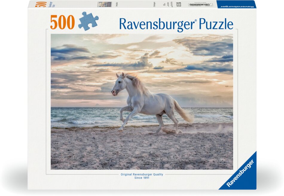 Pferd am Strand