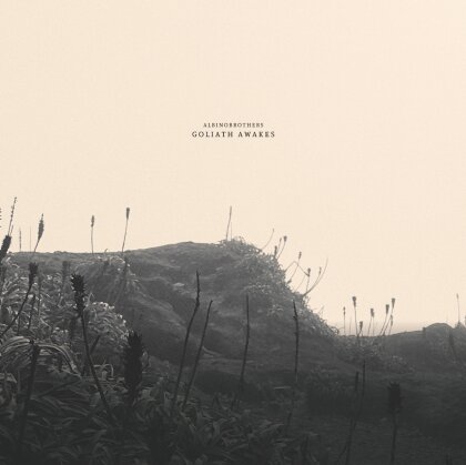 Albinobrothers - Goliath Awakes (LP)