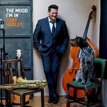 Tony Hadley (Spandau Ballet) - The Mood I'm In (Red Vinyl, LP)