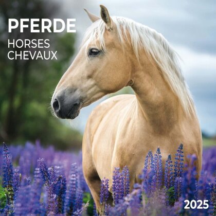 Horses/Pferde 2025