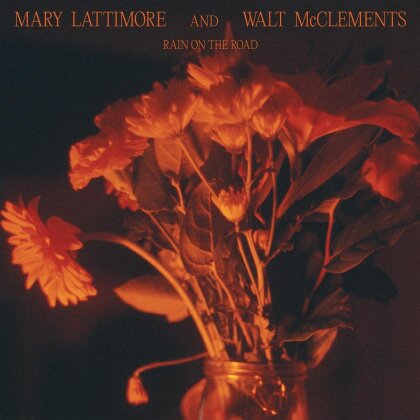 Mary Lattimore & Walt McClements - Rain On The Road (LP)