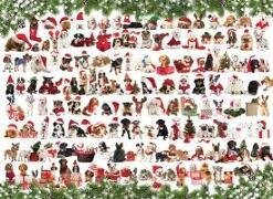 Holiday Dogs