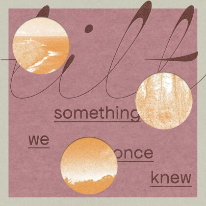 Tilt - Something We Once Knew (LP)