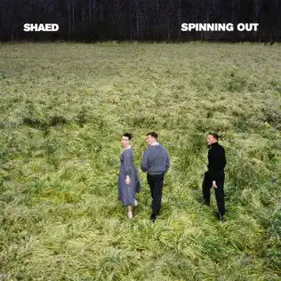Shaed - Spinning Out (LP)