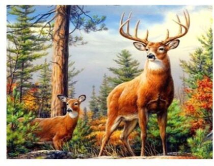 Diamond Painting Deer/Hirsch 40x30 cm