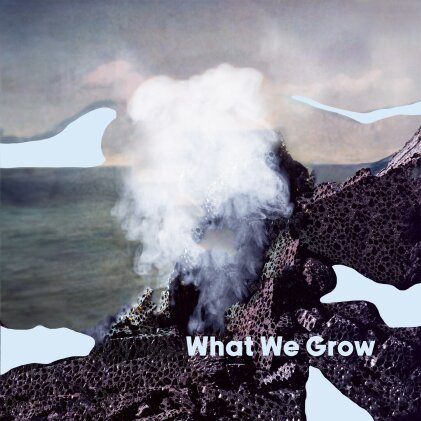 Oh Alien - What We Grow (LP)