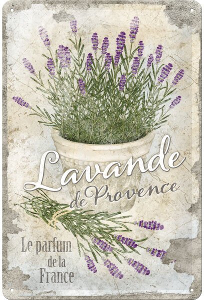 Lavande de Provence 20x30cm Blechschild