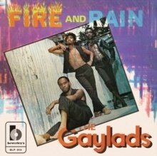 The Gaylads - Fire And Rain (2024 Reissue, LP)