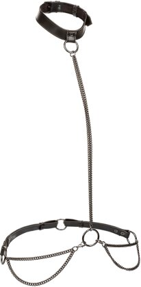 Chain Halter & Collar