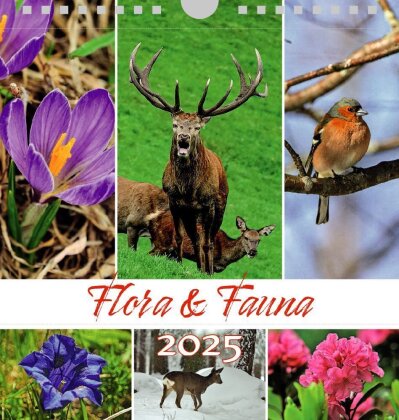 Tiere Blumen 2025 - Postkartenkalender Querformat