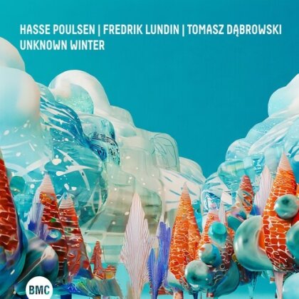 Hasse Poulsen, Tomasz Dabrowski & Fredrik Kundin - Unknown Winter