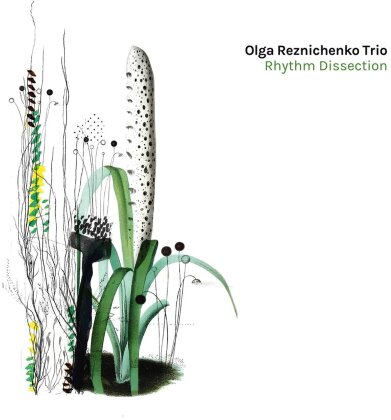 Olga Reznichenko Trio - Rhythm Dissection