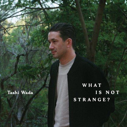 Tashi Wada - What Is Not Strange? (2 LPs)