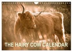 The Hairy Cow Calendar (Wall Calendar 2025 DIN A4 landscape) - CALVENDO 12 Month Wall Calendar