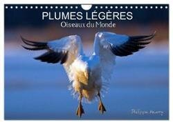 PLUMES LÉGÈRES. Oiseaux du Monde (Calendrier mural 2025 DIN A4 vertical) - CALVENDO calendrier mensuel