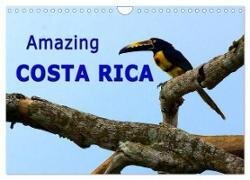 Amazing Costa Rica (Wall Calendar 2025 DIN A4 landscape) - CALVENDO 12 Month Wall Calendar