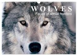 Wolves ¿ Faces of social hunters (Wall Calendar 2025 DIN A3 landscape) - CALVENDO 12 Month Wall Calendar