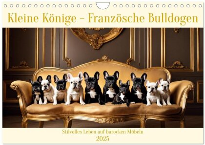 Kleine Könige - Französische Bulldoggen (Wandkalender 2025 DIN A4 quer), CALVENDO Monatskalender