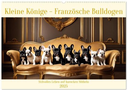 Kleine Könige - Französische Bulldoggen (Wandkalender 2025 DIN A2 quer), CALVENDO Monatskalender
