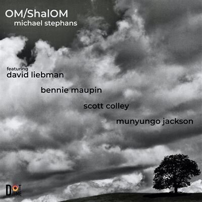 Michael Stephans - Om-Shalom