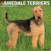 Just Airedale Terriers 2025 12 X 12 Wall Calendar