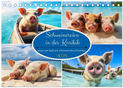 Schweinereien in der Karibik. Sonne und Spaß mit schwimmenden Schweinen (Tischkalender 2025 DIN A5 quer) - CALVENDO Monatskalender