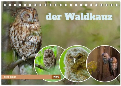 der Waldkauz - Strix Aluco (Tischkalender 2025 DIN A5 quer), CALVENDO Monatskalender