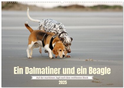 Ein Dalmatiner und ein Beagle - Auf der maritimen Jagd nach dem weltbesten Stock (Wandkalender 2025 DIN A2 quer), CALVENDO Monatskalender