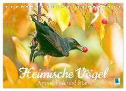 Amsel, Fink und Star - Heimische Vögel (Tischkalender 2025 DIN A5 quer), CALVENDO Monatskalender
