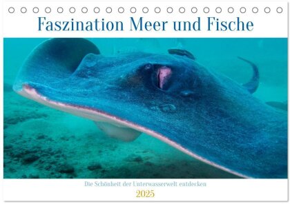 Faszination Meer und Fische (Tischkalender 2025 DIN A5 quer) - CALVENDO Monatskalender