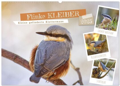 Flinke Kleiber (Wandkalender 2025 DIN A2 quer) - CALVENDO Monatskalender