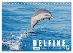 Delfine - Elegante Wellenreiter (Tischkalender 2025 DIN A5 quer), CALVENDO Monatskalender