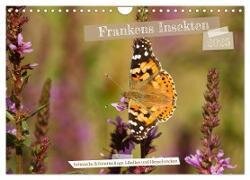 Frankens Insekten (Wandkalender 2025 DIN A4 quer) - CALVENDO Monatskalender