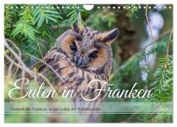 Eulen in Franken (Wandkalender 2025 DIN A4 quer) - CALVENDO Monatskalender